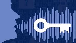 Nuance Gatekeeper: Securing Customer Interactions with Voice Biometrics